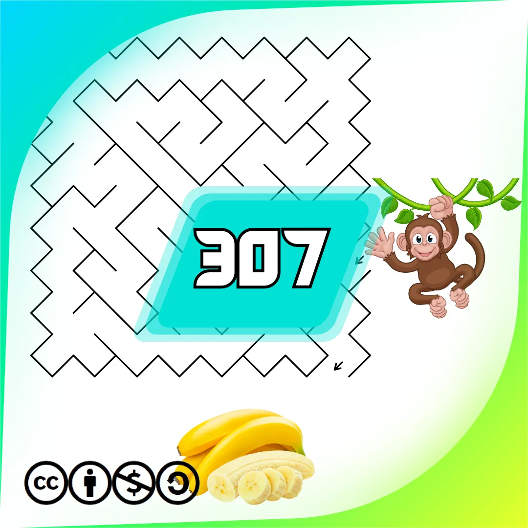 Labyrinthen Heft Nr. 307